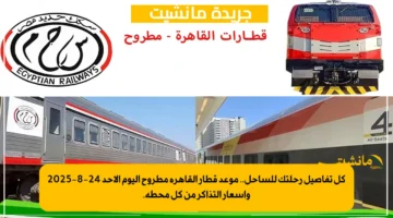 كل تفاصيل رحلتك للساحل.. موعد قطار القاهرة مطروح اليوم الأحد 24 8 2025 وأسعار التذاكر من كل محطة. 1